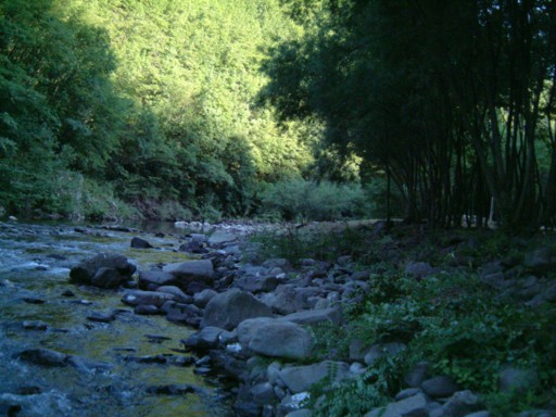  Image name: DSCF5647.JPG 
 width: 512 pixel 
 height: 384 pixel 
 Size: 65026 bytes 
 Click to enlarge 